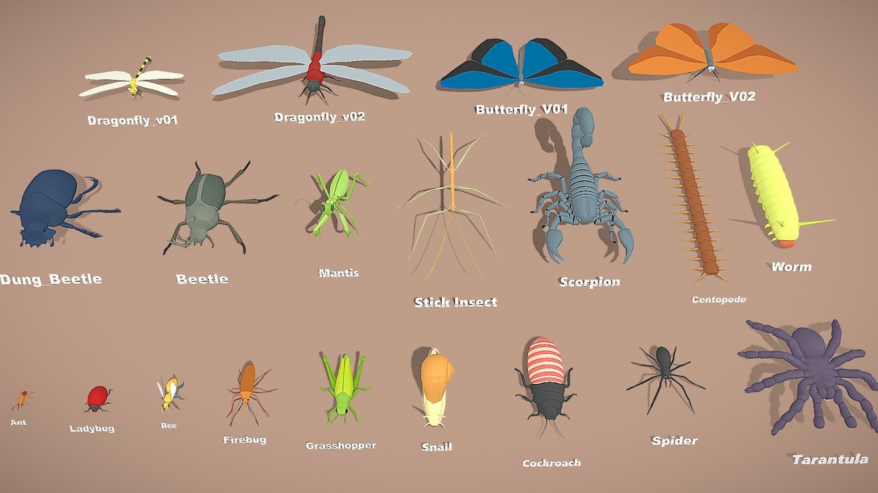 Media 1 for listing Animals Pack - Insect