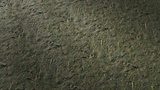 Asset image