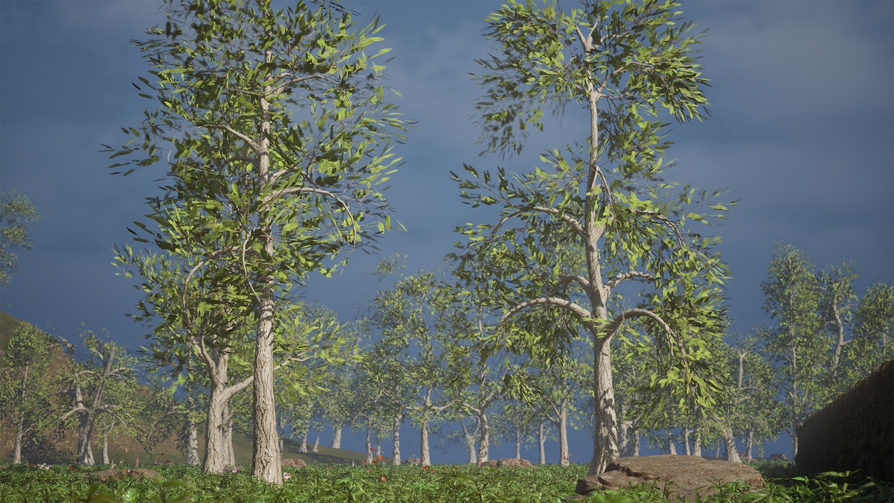 Media 1 for listing Realistic Low Poly Tree Pack 48M