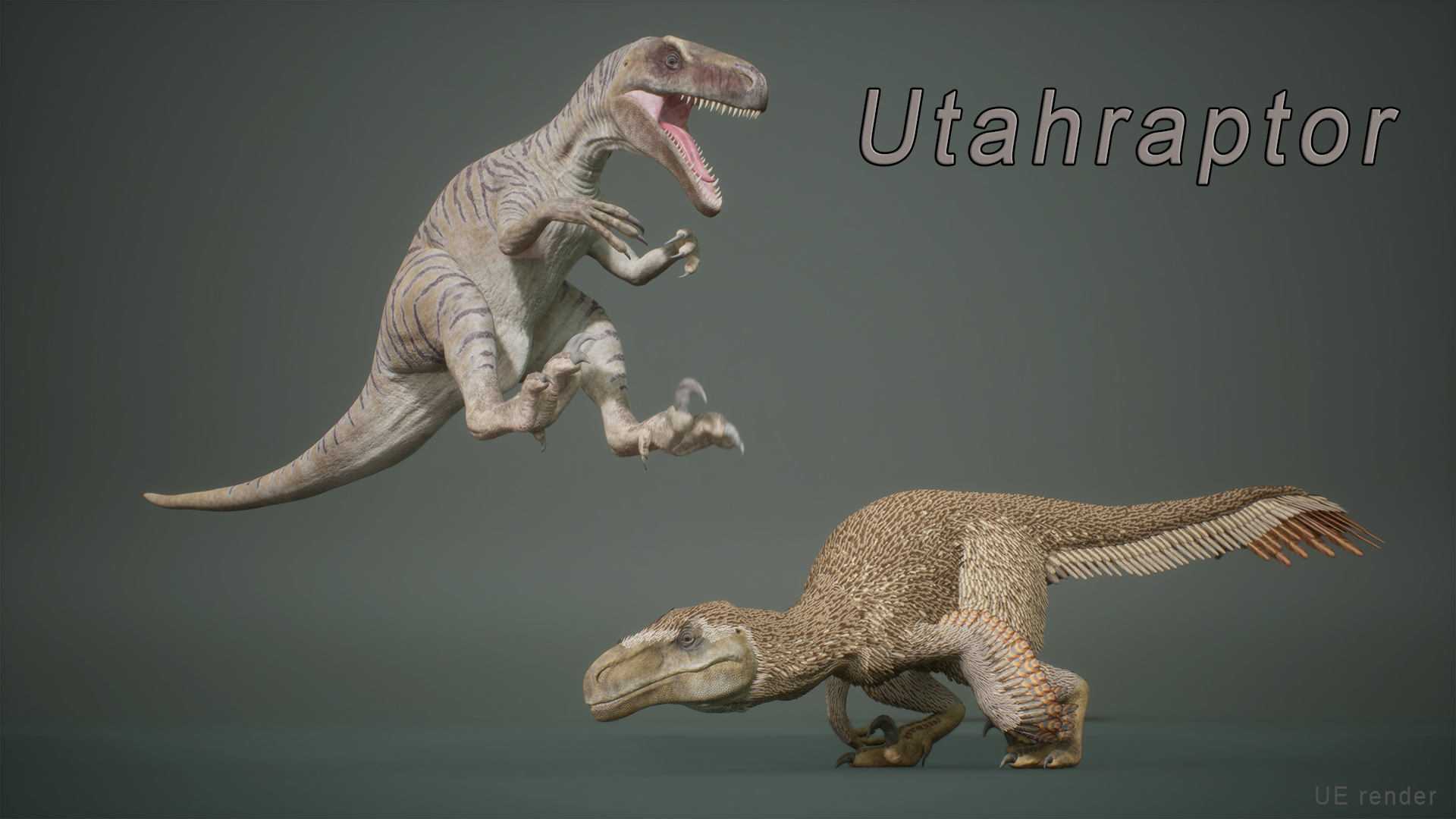 Uath Raptor Size Megaraptor Contro Utahraptor