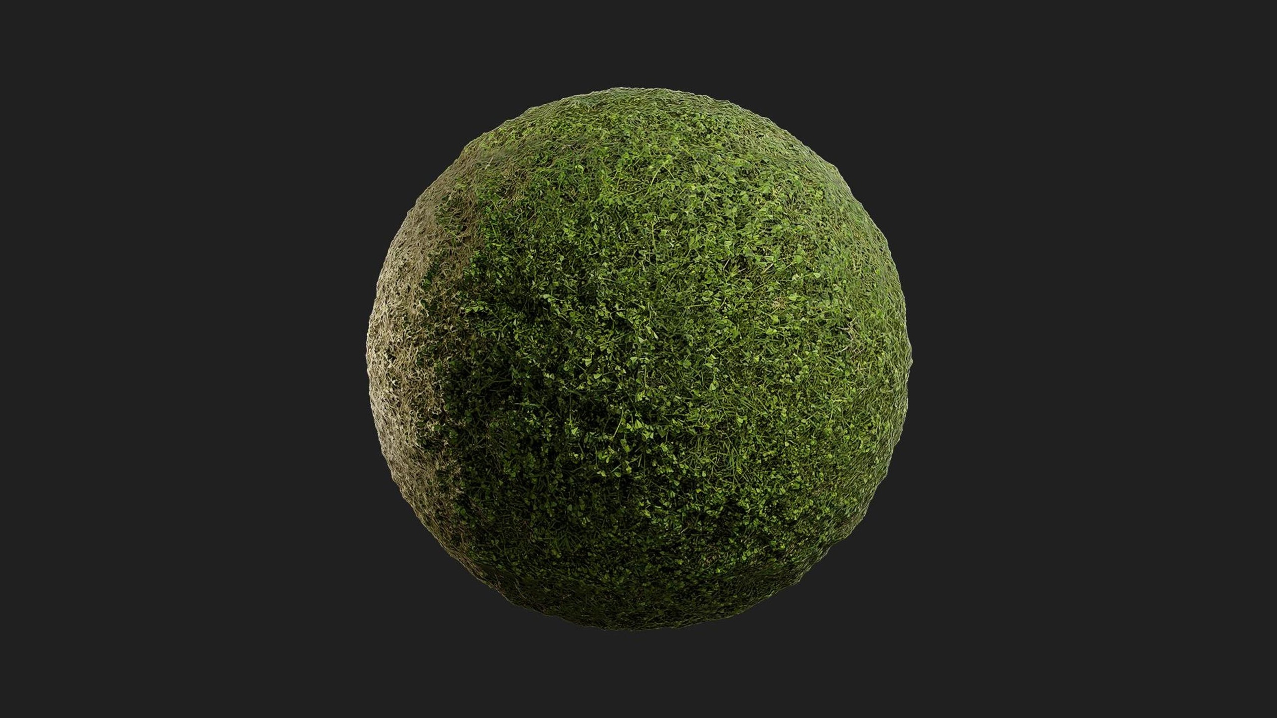 Media 1 for listing Uncut Grass