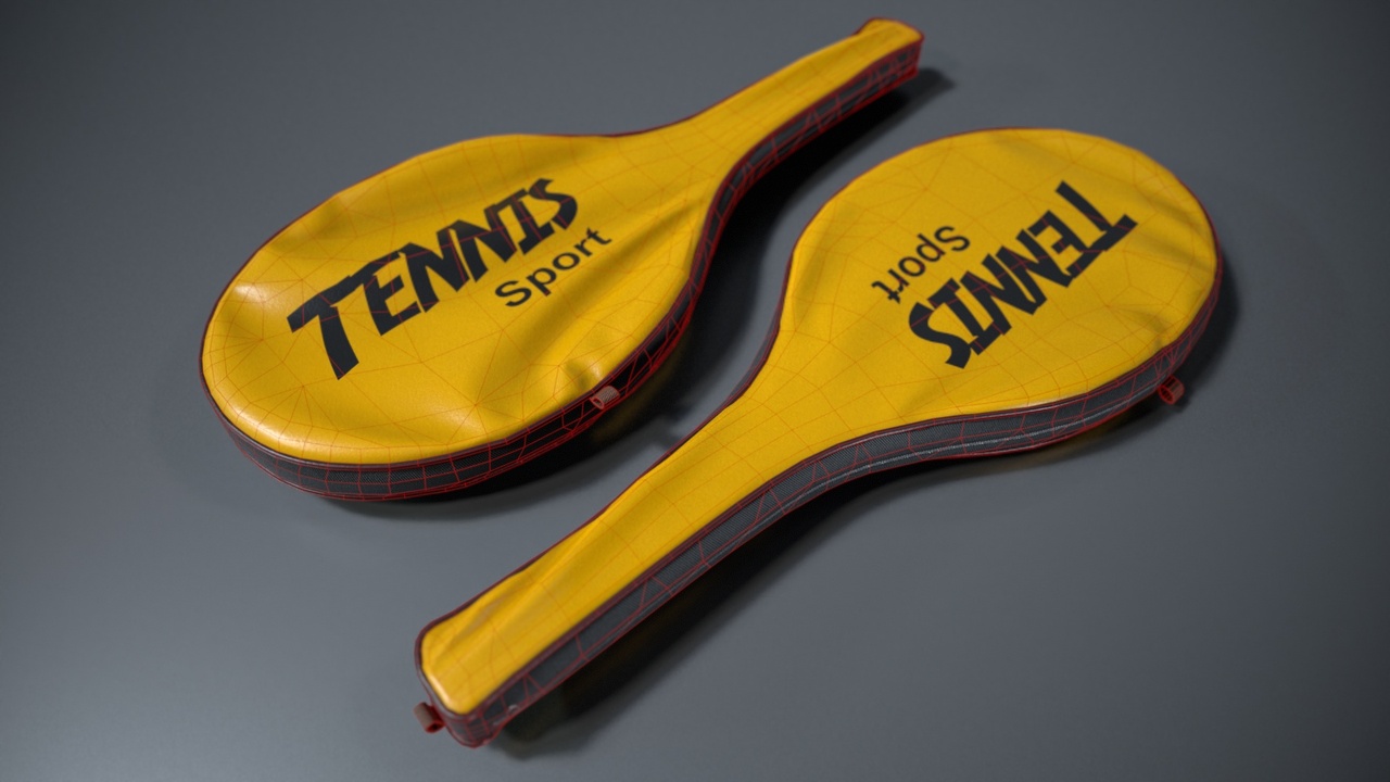 Media 1 for listing Racquet Сasing