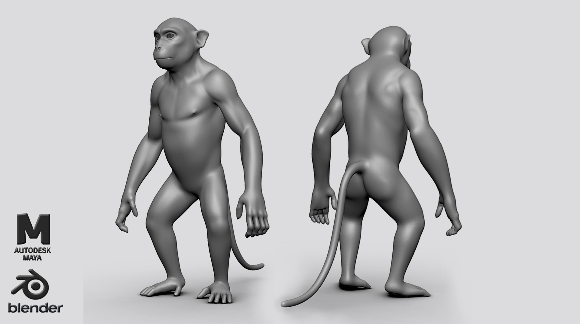 Media 1 for listing Monkey BaseMesh - Topology + UV map