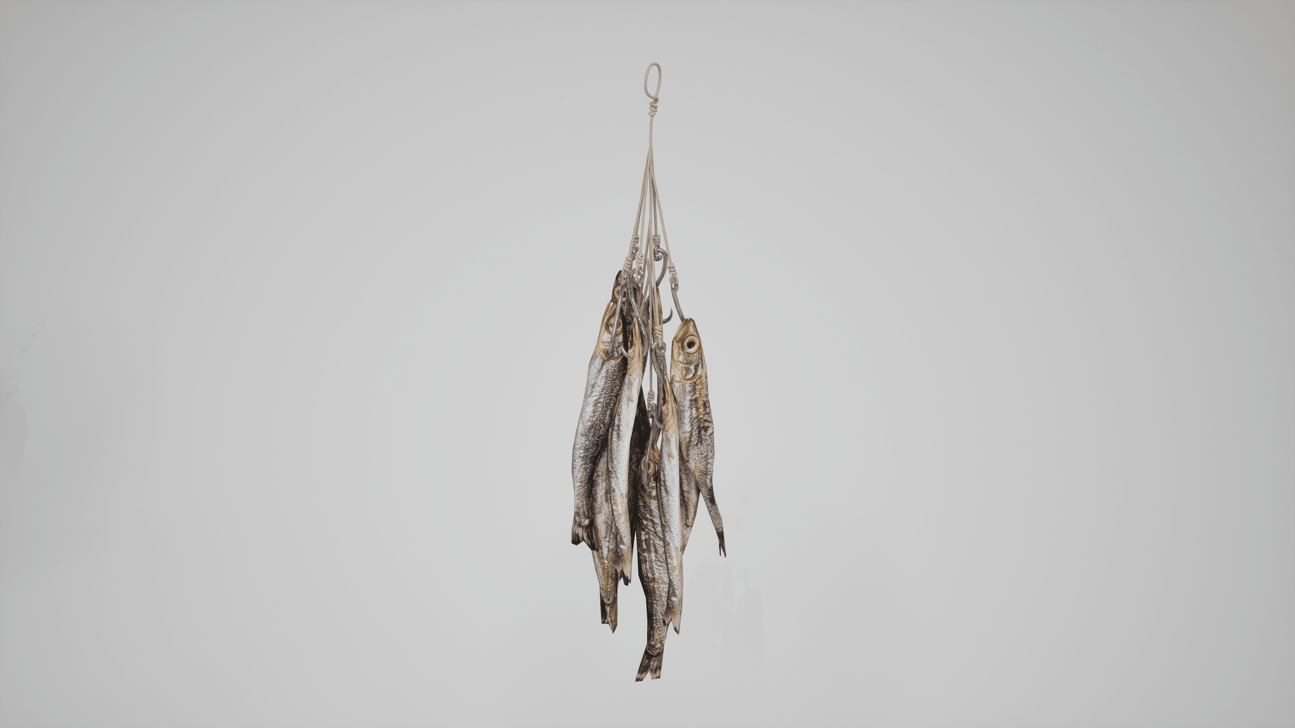 Media 1 for listing Hanged Dried Fish - Fish Stall Props Sample