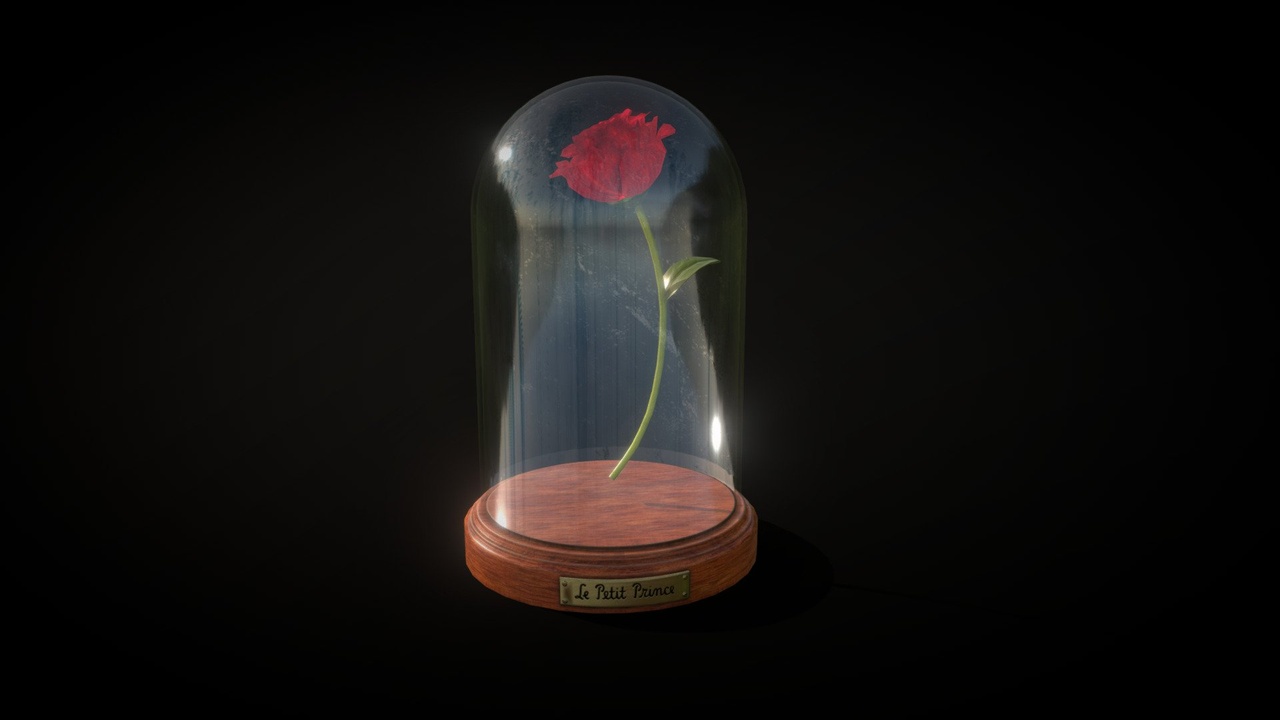 Media 1 for listing Little Prince - Rose