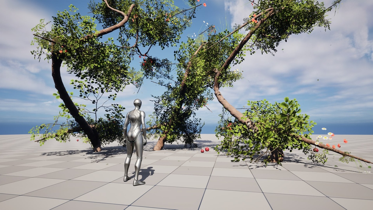 Media 1 for listing Sue Tree Spline