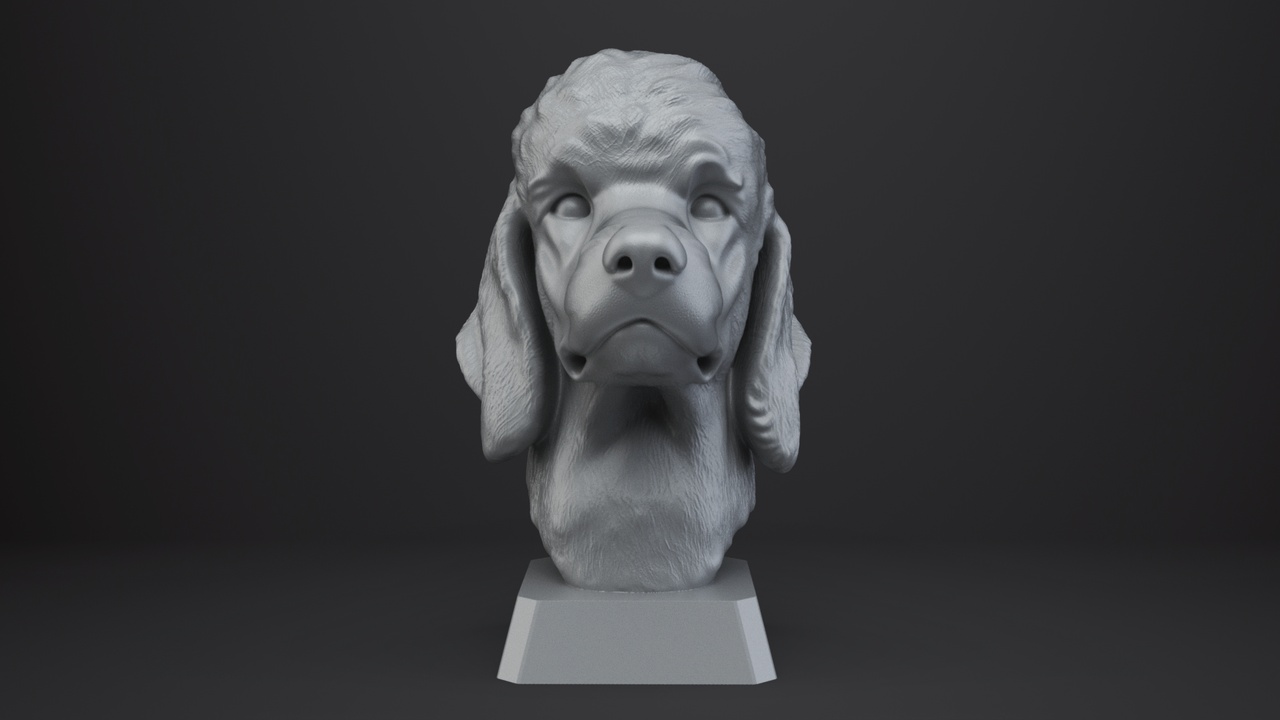 Media 1 for listing Poodle Dog Bust