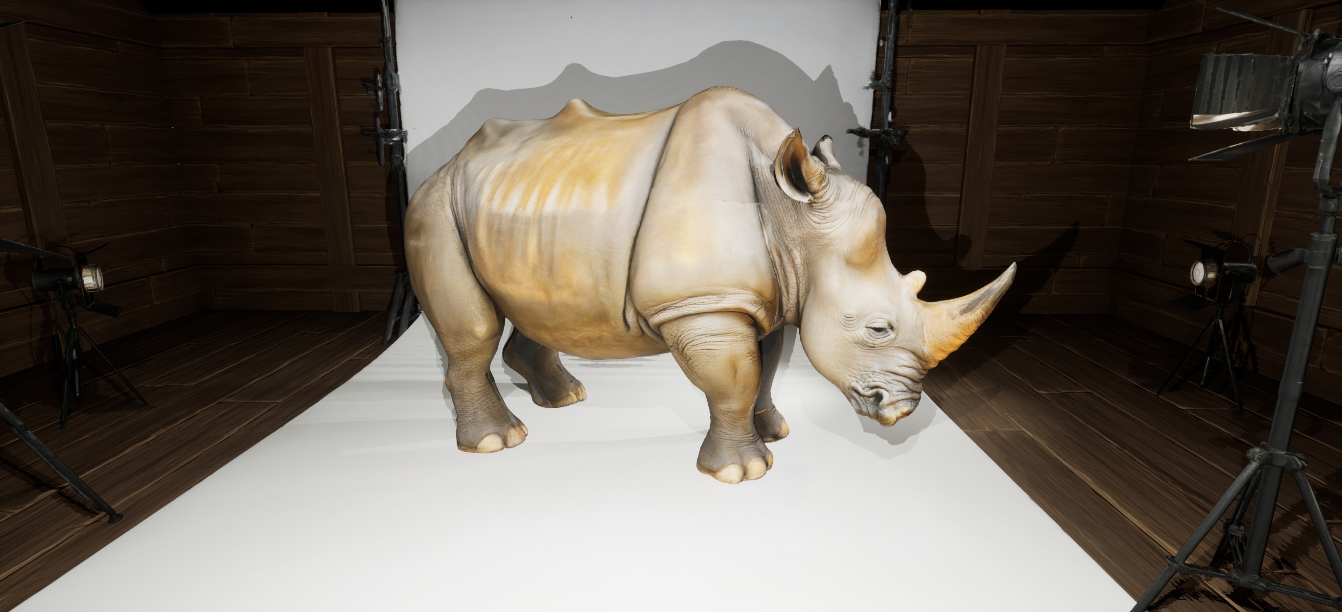 Rhino - Animal - Ready To Rig | Fab