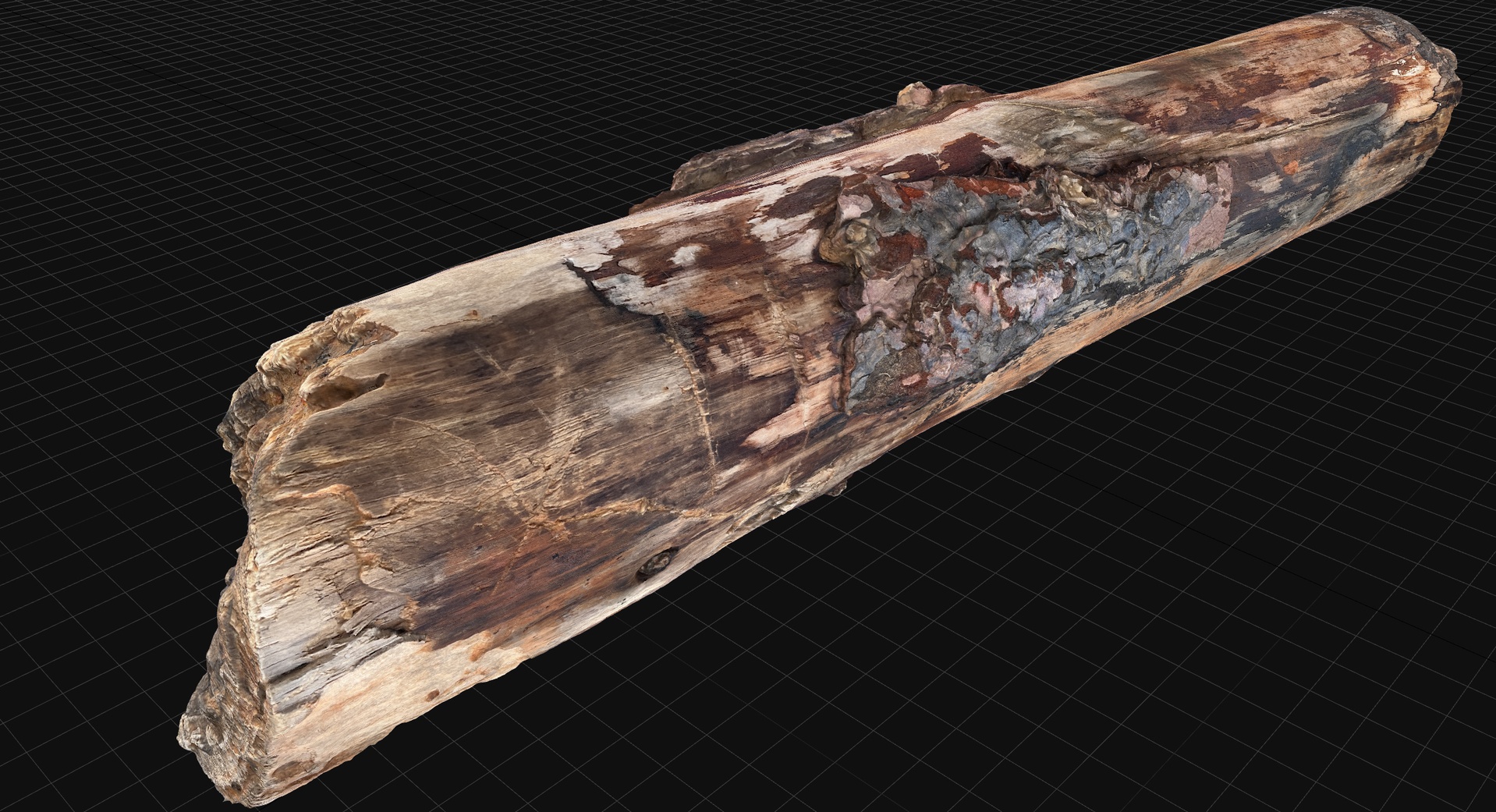 Medios 1 para el artículo Realistic Pine Tree trunk 3d scan in highpoly