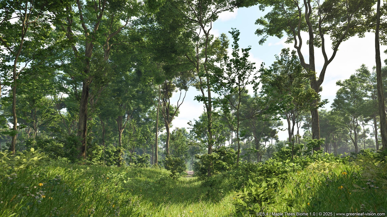 Media 1 for listing Maple Trees Biome (Ultra Realistic Wind)