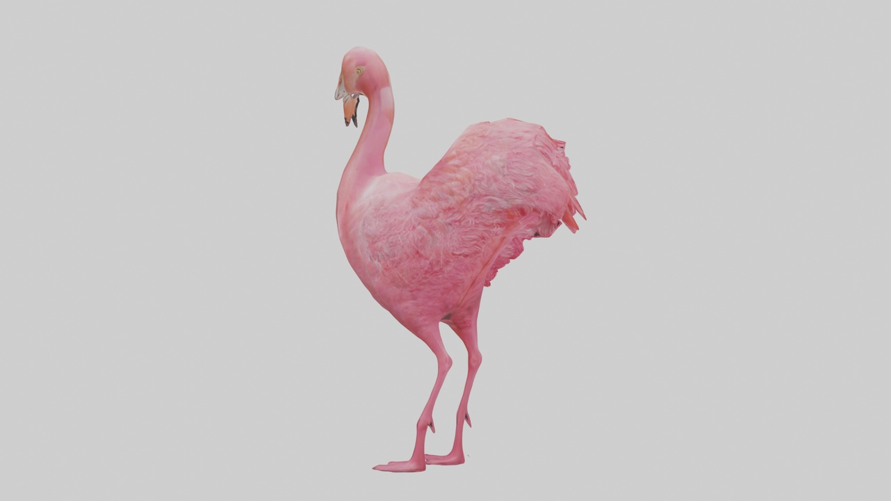 Media 1 for listing Flamingo Heart