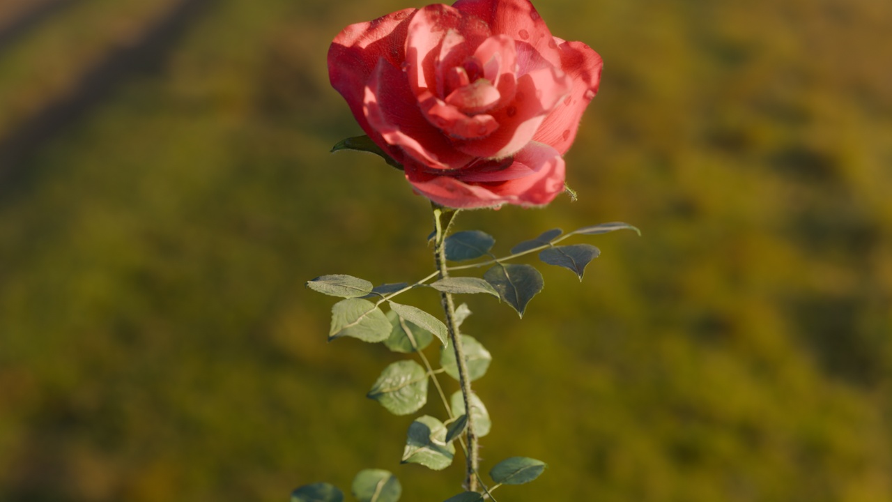 Realistic Rose Animated 제품 등록을 위한 미디어 1개