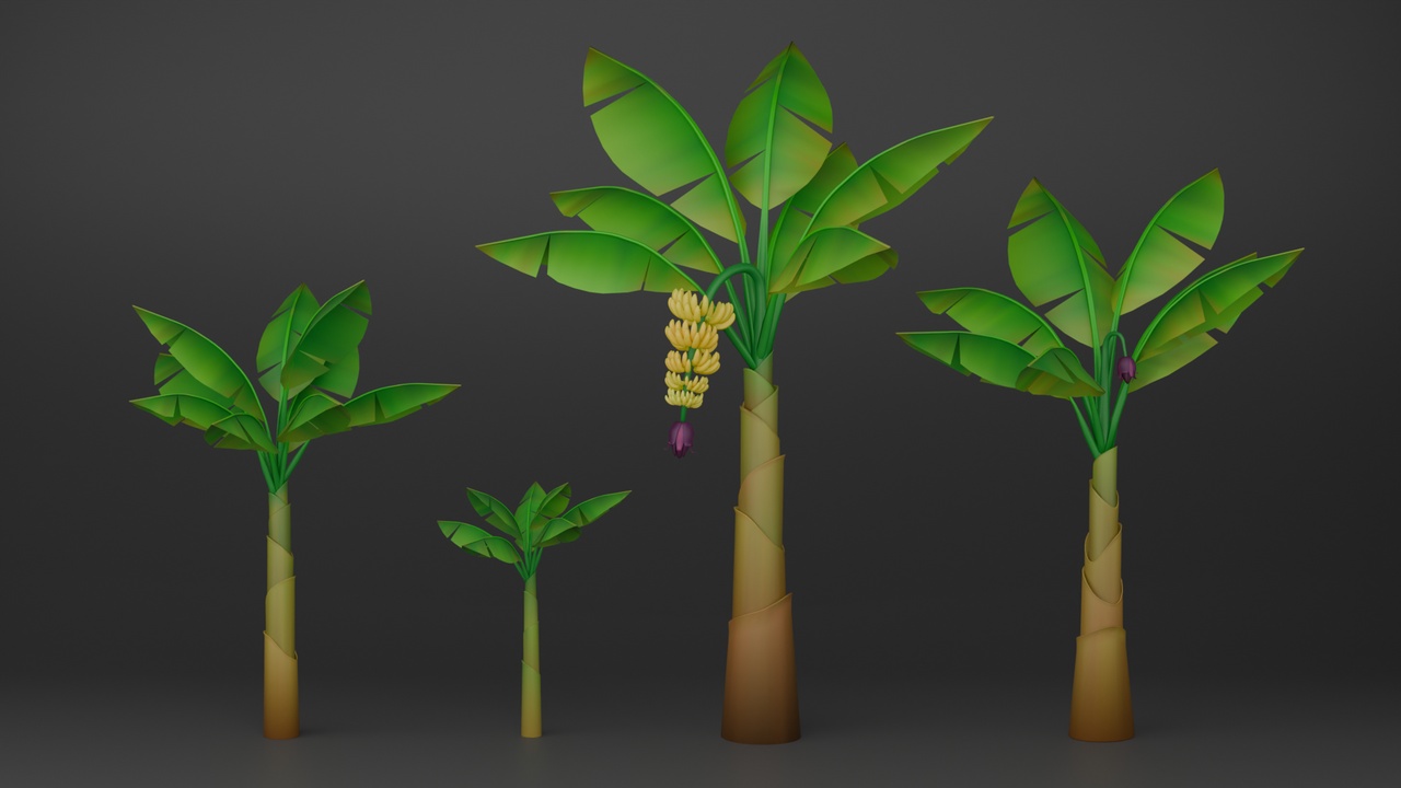 Media 1 for listing Banana Plants