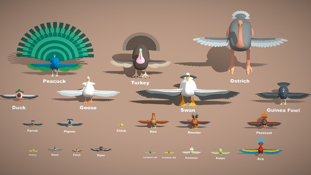Media 1 for listing Animals Pack - Bird