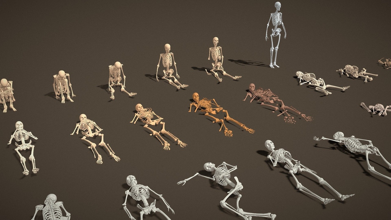 Media 1 for listing Props Pack - Human Skeleton