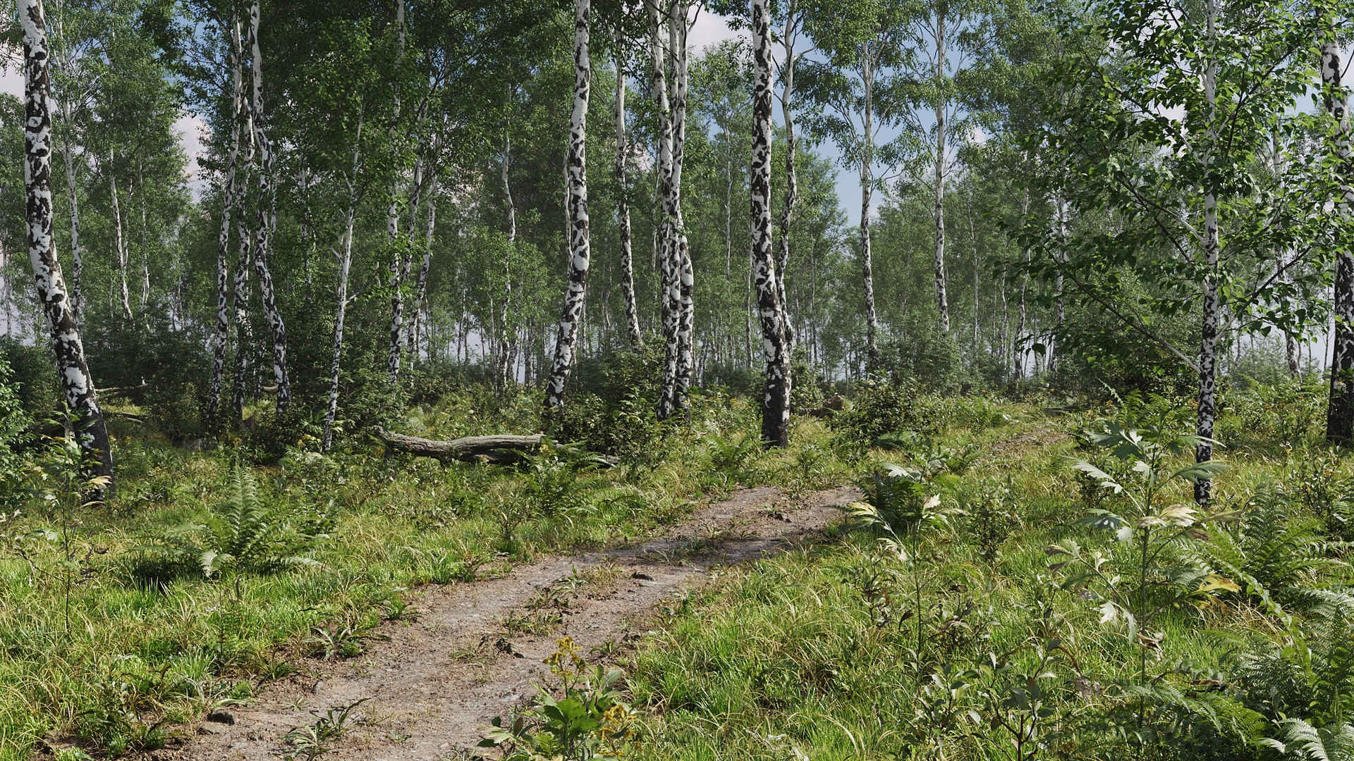 Media 1 for listing Forest Biomes Scene 02 Archmodels Vol 308
