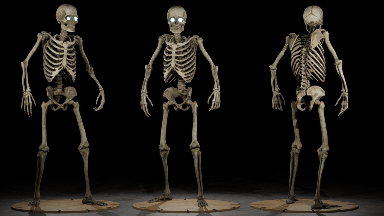 Media 1 for listing Skeleton Generator