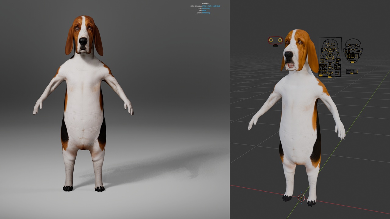Media 1 for listing Basset Hound Metahuman Dog Character