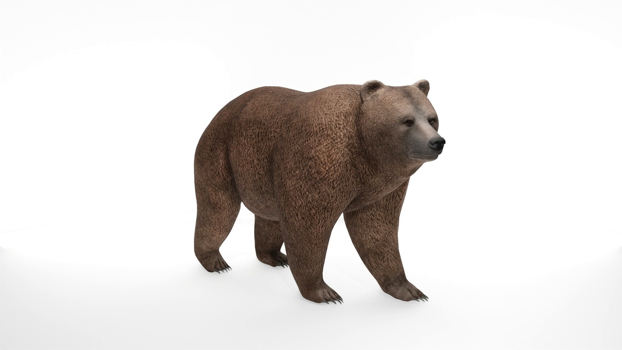 Media 1 for listing Realistic Zoo Animals Bundle Collection
