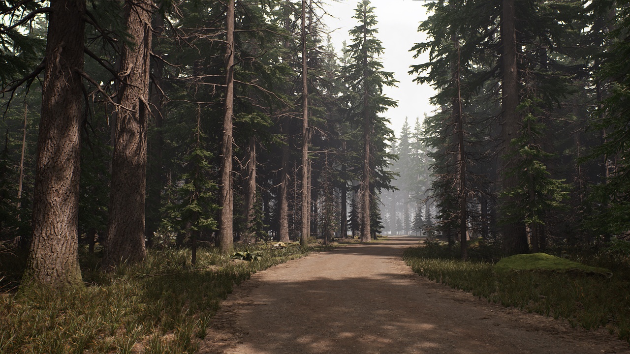 Media 1 for listing Forest Road (PCG NN Fir Forest Trees)