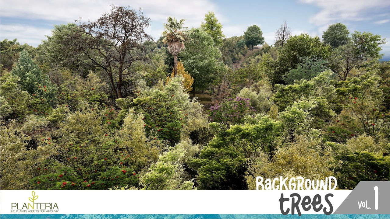 Background Trees 1 제품 등록을 위한 미디어 1개