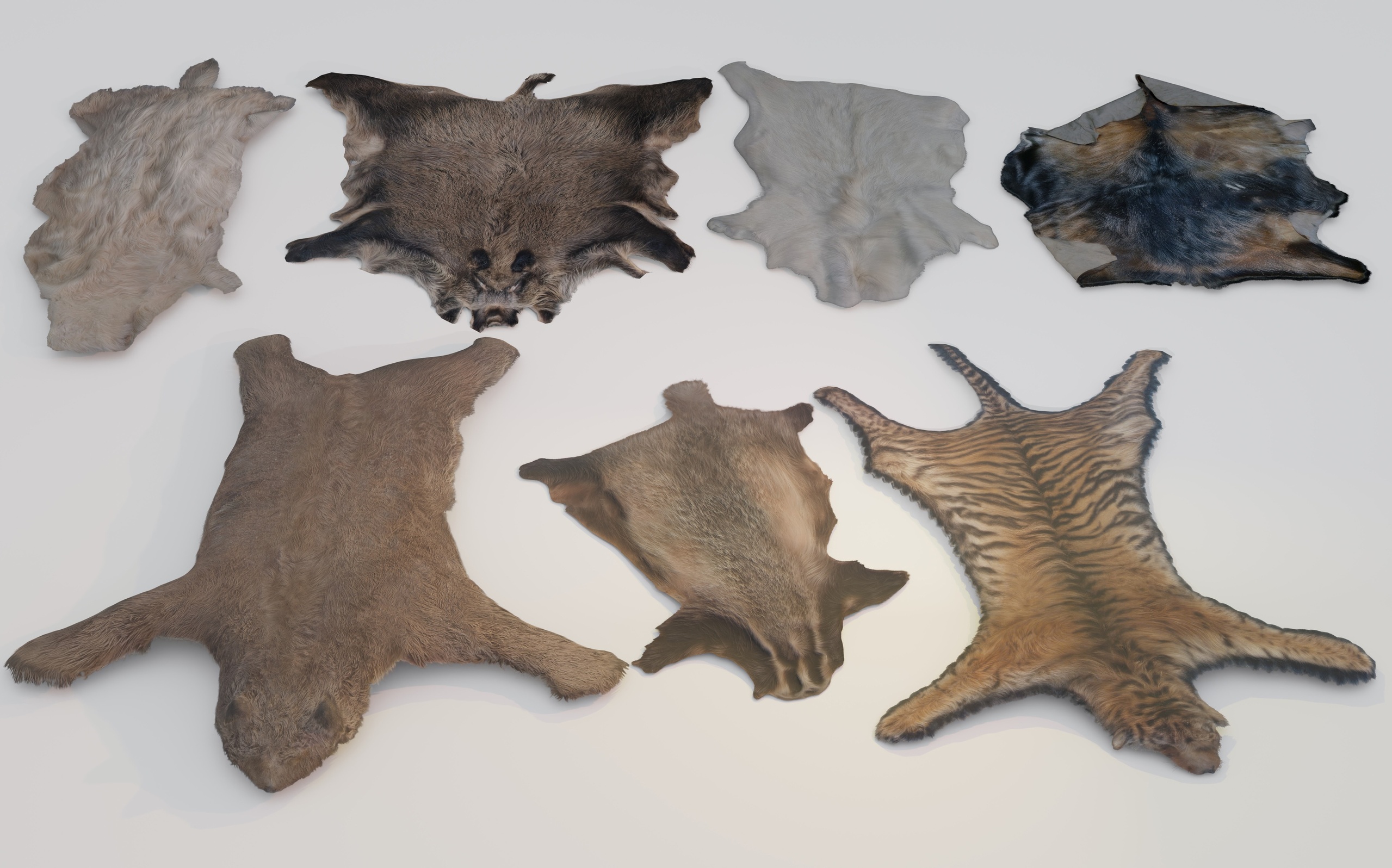 Medium 1 für Eintrag Animal pelts volume three: cheetah, badger, boar, goat, sheep, bear 4k