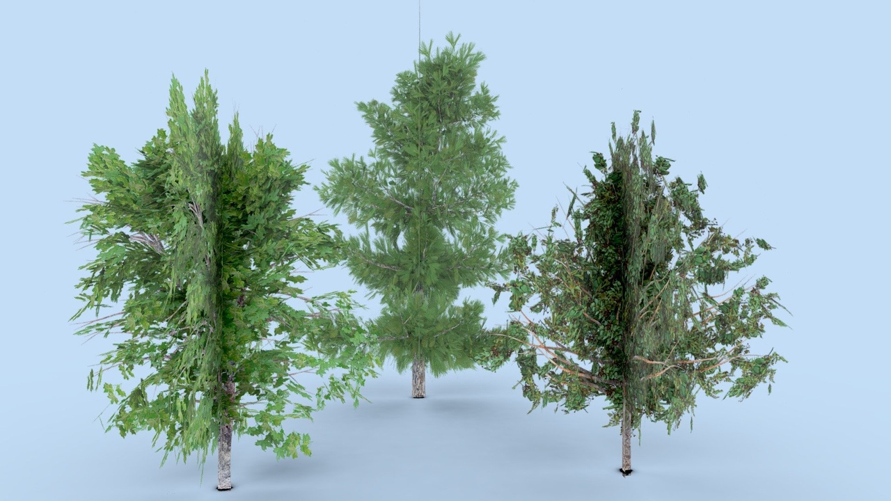 Multimedia 1 dla listy LOD/Billboard Summer Trees Pack