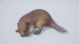 Asset image