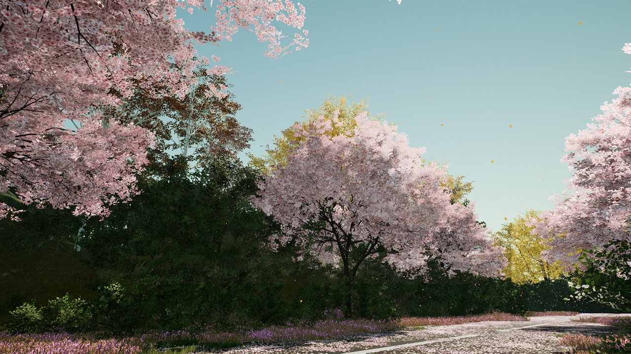 Media 1 for listing XBH TREE Vol.2