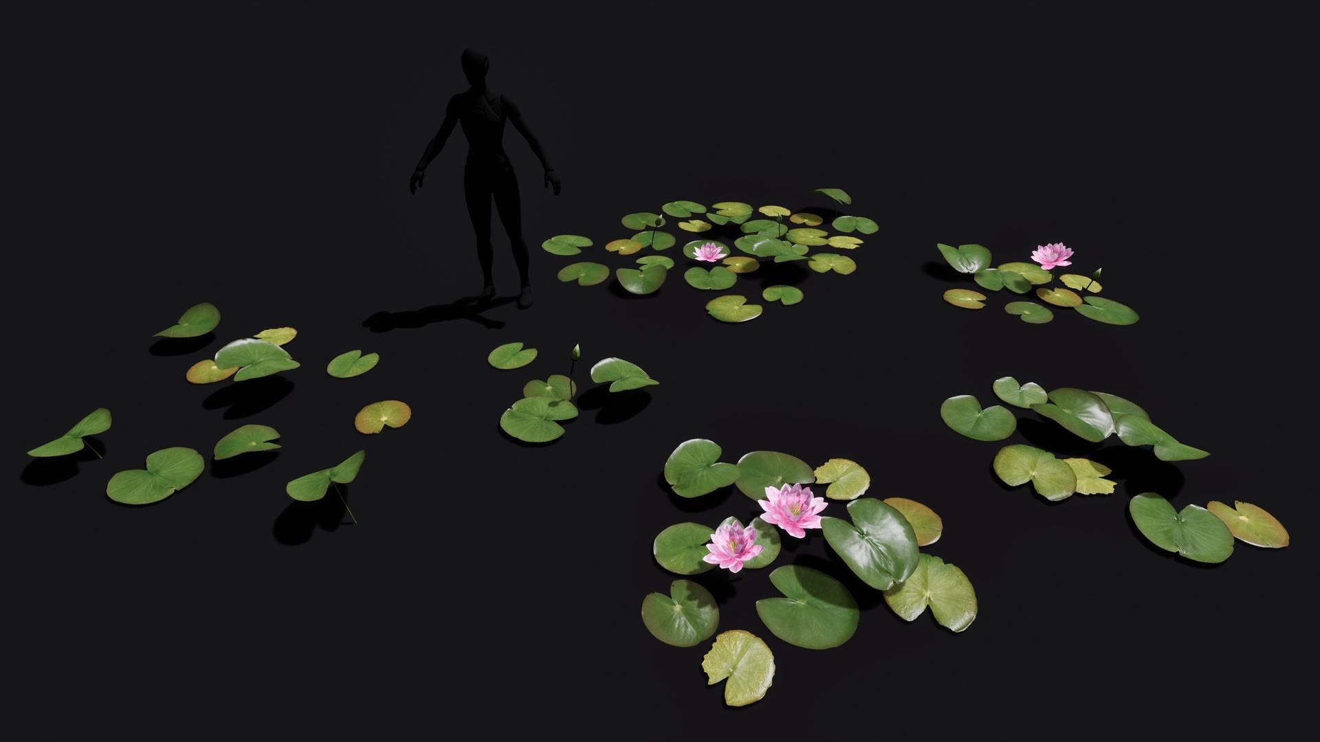 File multimediali per l'articolo Water Lilies game ready low poly: 1