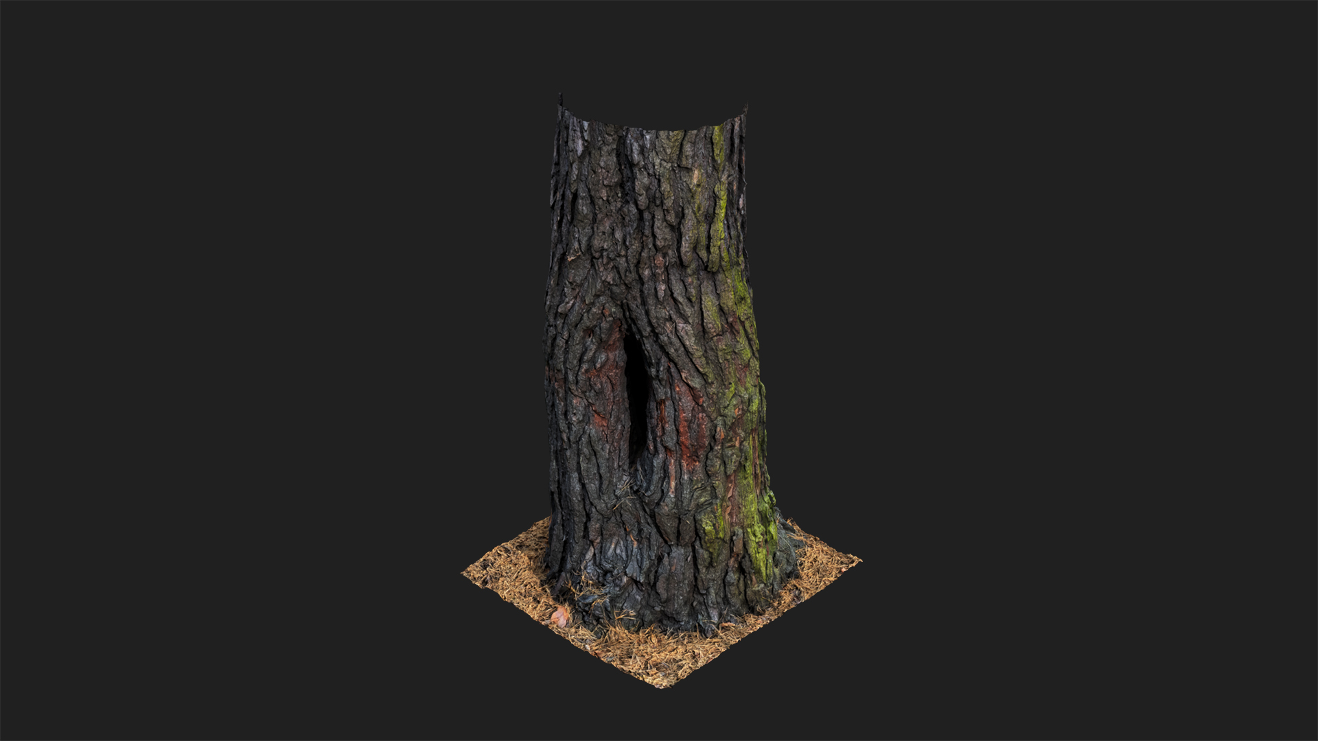 Tree Pine Trunk | Fab