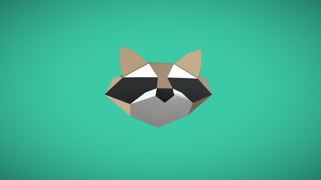 Media 1 for listing Lowpoly Raccoon Face