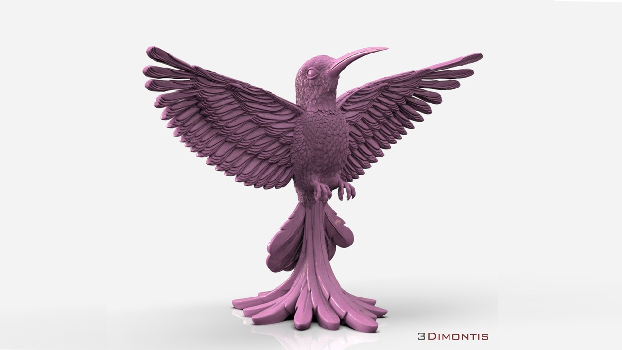 Media 1 for listing colibri humming bird