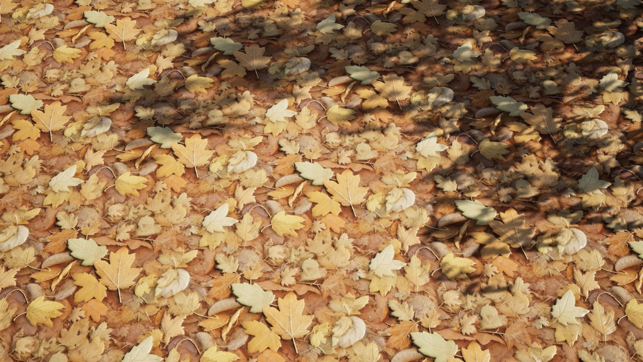 Media 1 for listing Dried Leaves Ground Vol.2