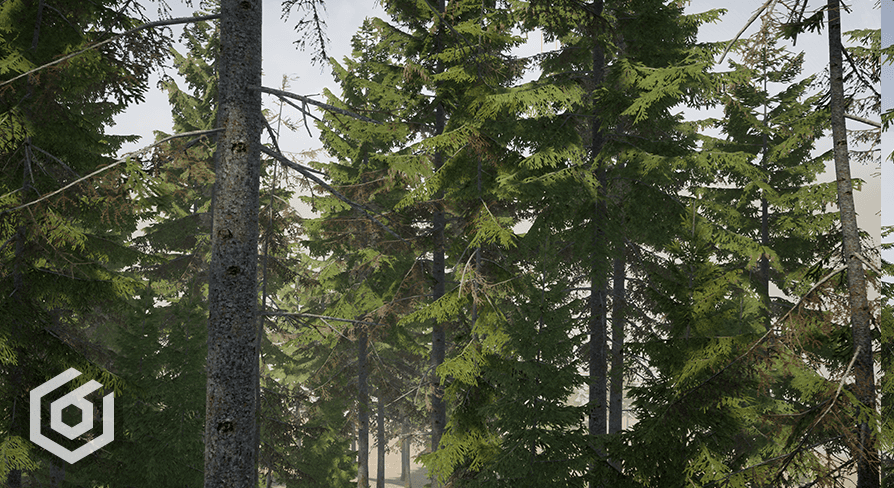 Trees: Spruce tree | Fab