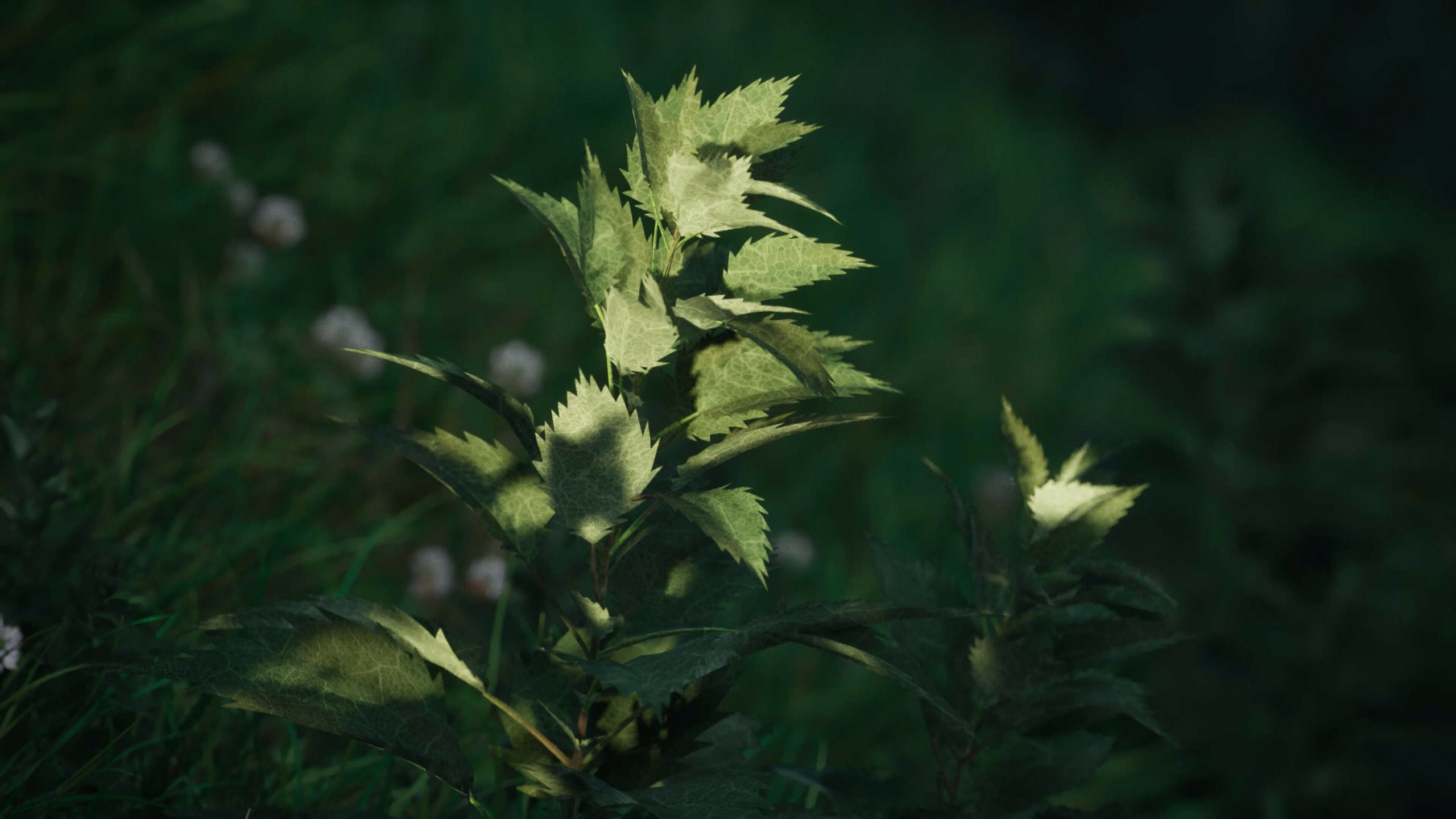 Media 1 for listing Stinging Nettle v1.3 | Nanite Foliage