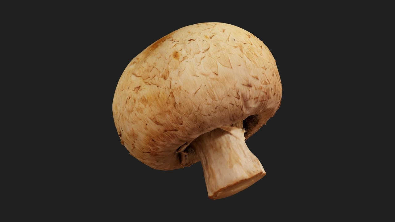 商品 Gilled Mushroom 的媒体 1