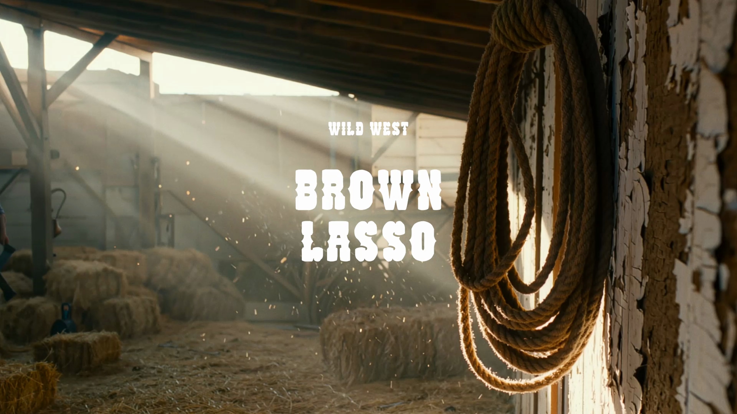 Media 1 for listing Brown Lasso / Wild West