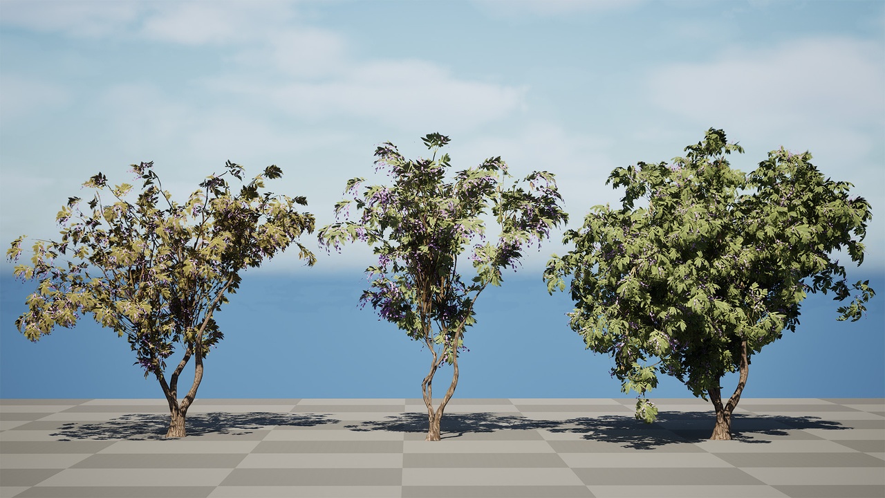 Media 1 for listing South African Tree Wisteria 3D Model Collection