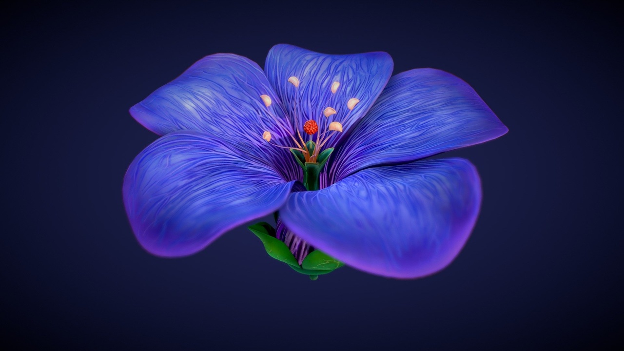 Media 1 for listing Purple Cranesbill