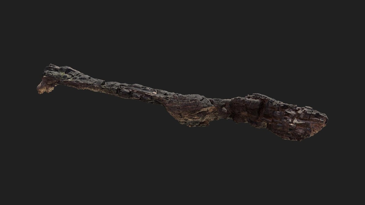 Media 1 for listing Burnt Tree Branch