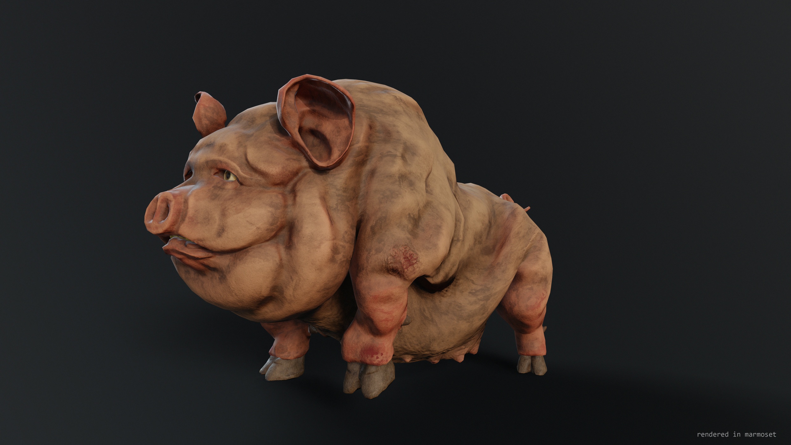 Media 1 for listing Pig