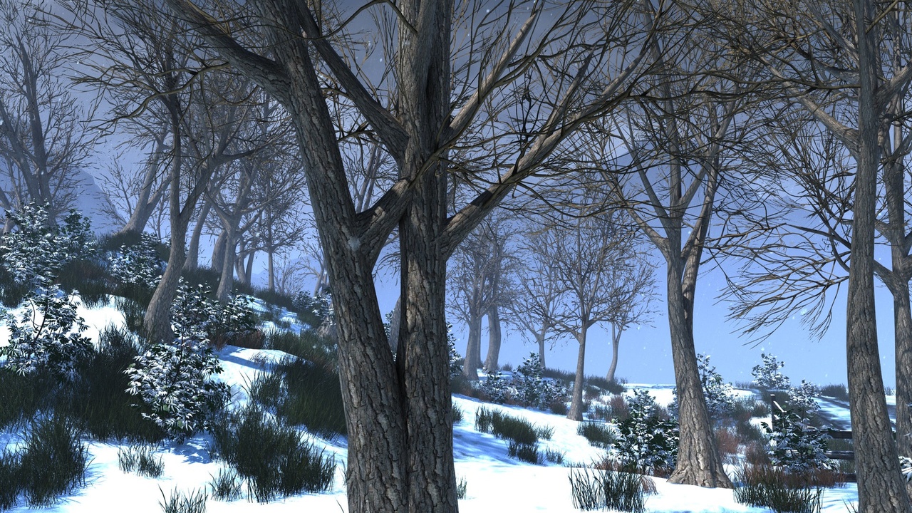 Media 1 for listing Realistic Low Poly Winter Trees Bundle ( 11 in 1 )