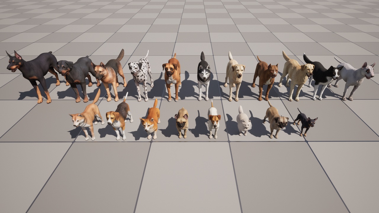 商品 Dogs Big pack 的媒体 1