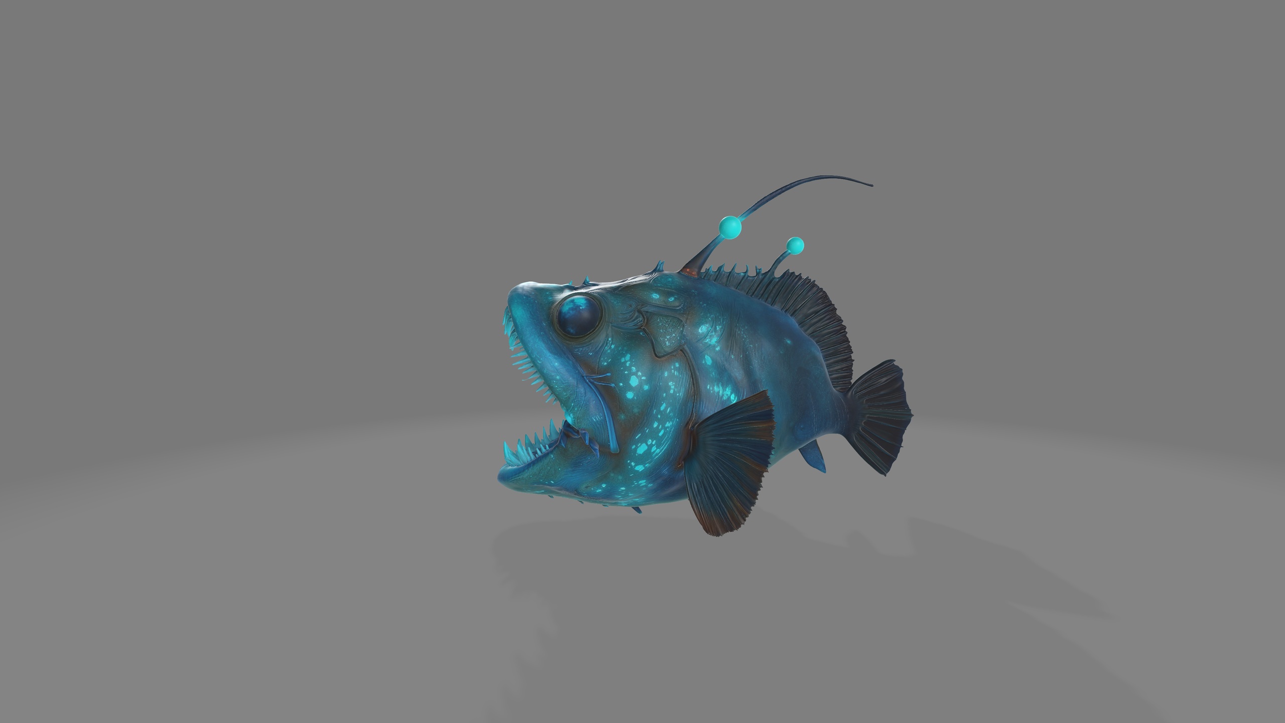Media 1 for listing Bioluminescent Anglerfish