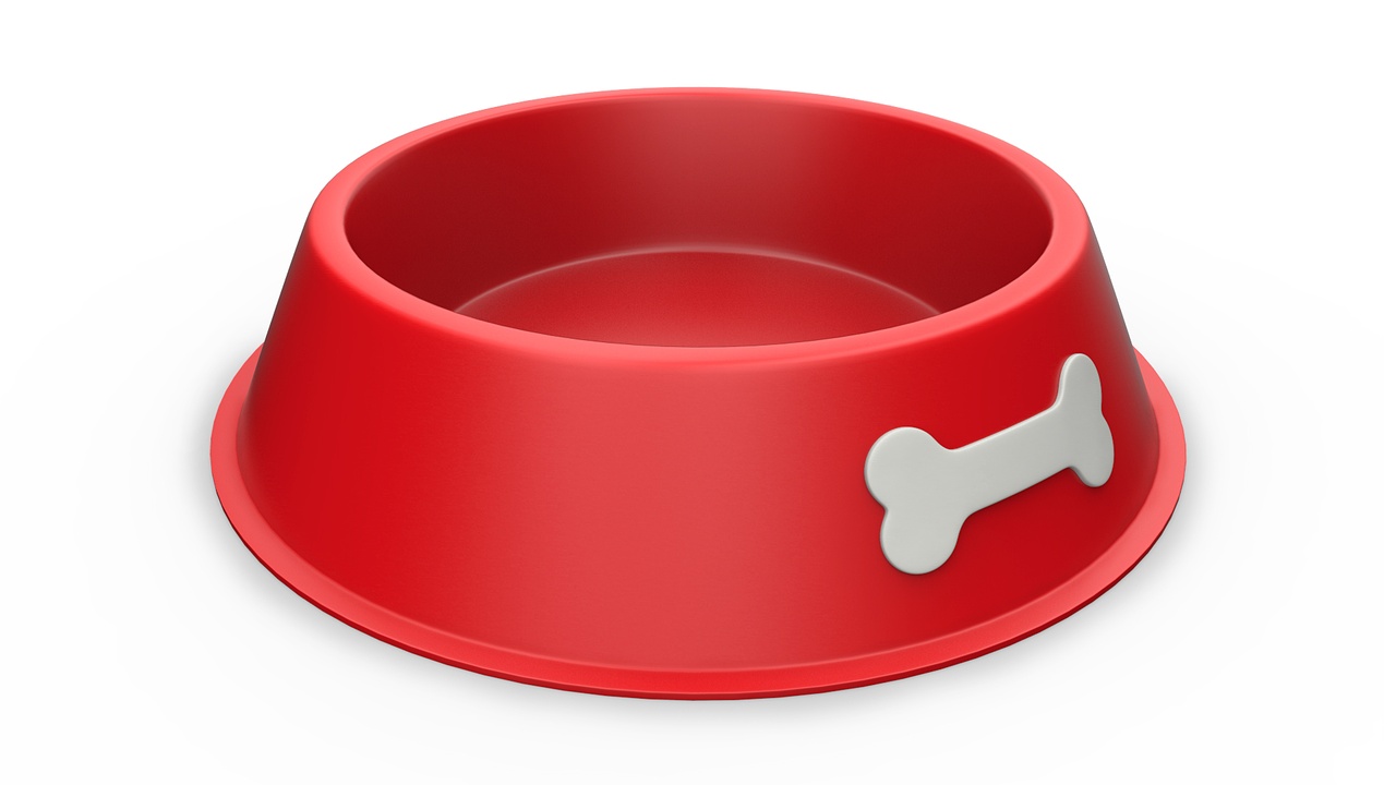 Media 1 for listing Plastic Dog Bowl