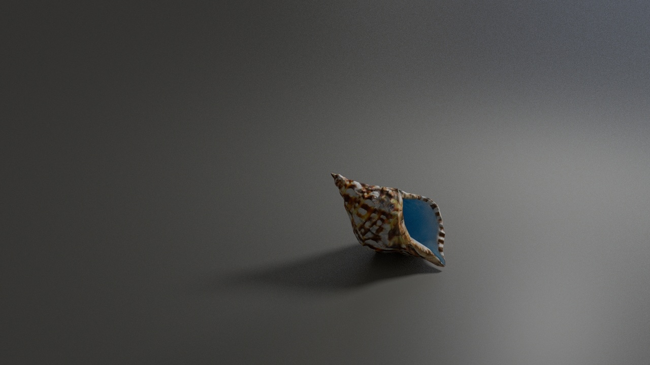 Media 1 for listing Seashell Horn (Canarian Bucio)