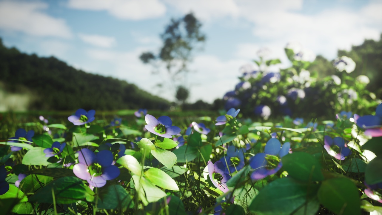 Media 1 for listing Persian Violet — Realistic 3D Asset | 4 LODs | UE5 Ready | FBX