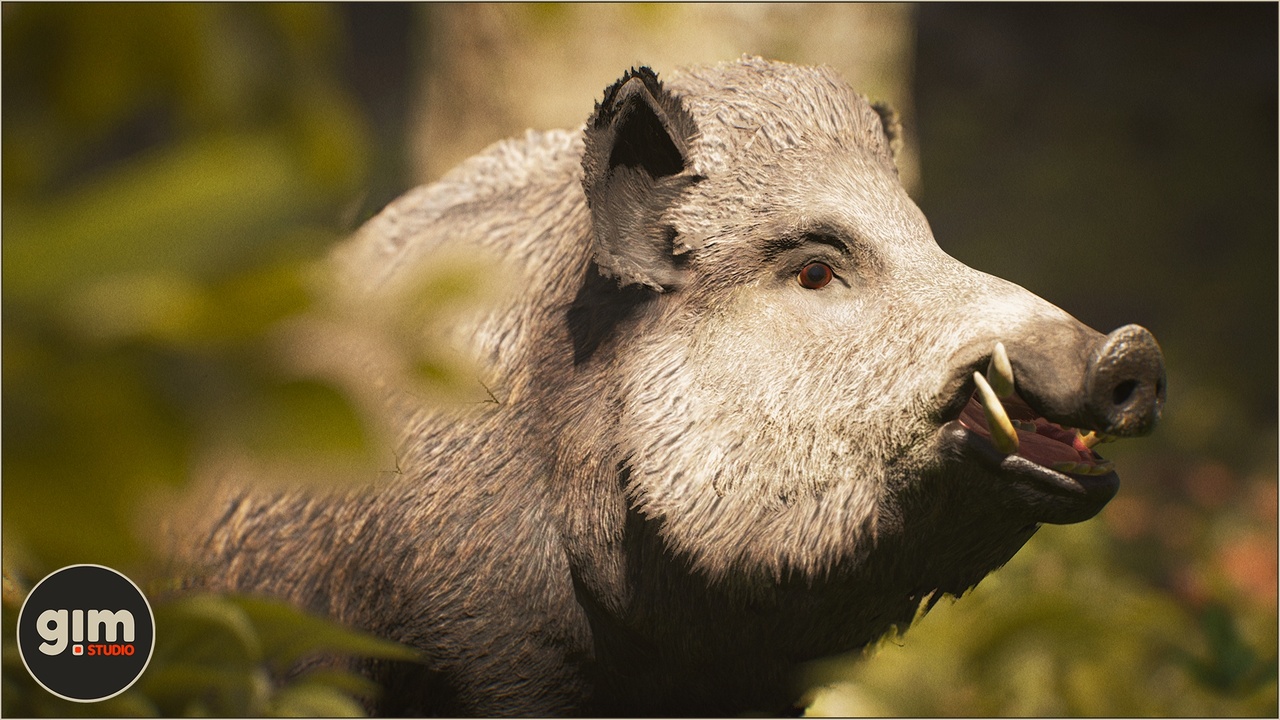 Media 1 for listing Animalia - Wild Boar (male)
