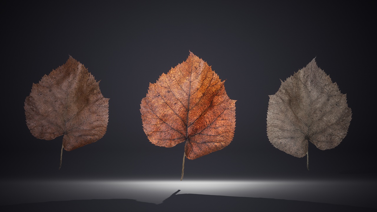 Media 1 for listing Dead Leaf